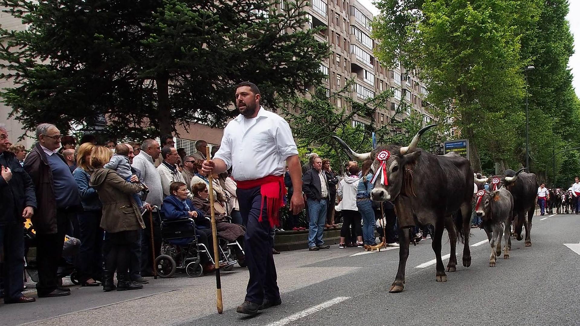 'La Pasá' tudanca volverá a Santander El Diario Montañés